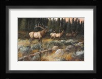 Autumn And On The Move Framed Print