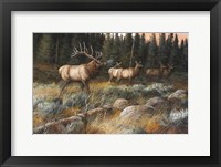 Autumn And On The Move Framed Print