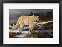 Evening Hunter Fine Art Print