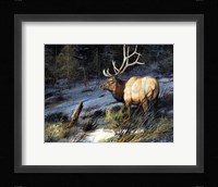 Indomitable Framed Print