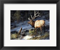 Indomitable Framed Print