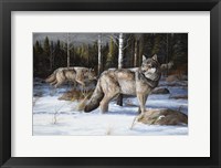 Pack Leaders Fine Art Print