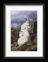 Cliffside Partners Fine Art Print