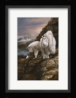 Overlook Fine Art Print