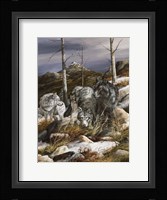 Watchful Scouts Fine Art Print