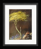 Desert Riot Fine Art Print