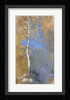 Dusk Shadows Fine Art Print