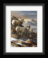 High Country Trio Fine Art Print