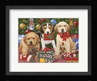Which One's Mine - Xmas Puppies Fine Art Print