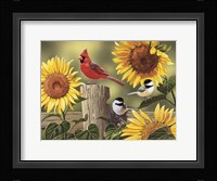 Sunflowers and Songbirds Fine Art Print