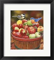 Apple Harvest Fine Art Print