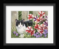 Minnie In the Petunias Framed Print