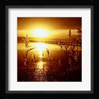 My Date With The Sun Framed Print