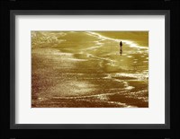 Walking On Sunshine Fine Art Print