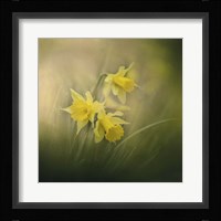 A Spring Morning Welcome Fine Art Print
