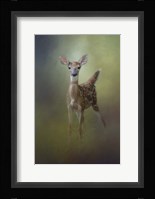 Fawn In The Forest Fine Art Print