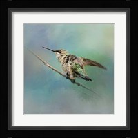 Hummingbird On Mint Fine Art Print