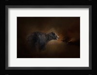 Moonlight Run Fine Art Print