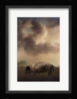 Bison Grazing At Sunrise Fine Art Print