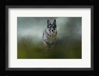 Racing The Storm Fine Art Print