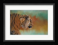Bengal Energy Fine Art Print