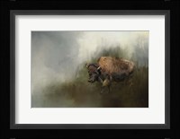Bison After The Mud Bath Fine Art Print