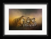 The Tiger Awakens Fine Art Print