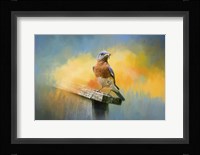 Bluebird Mealtime Fine Art Print