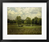Cattle Pond In Summer Fine Art Print