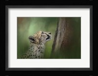 Facing Challenges Fine Art Print