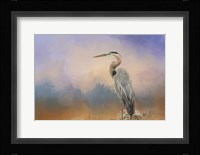 Heron On The Rocks Fine Art Print