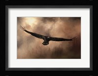 Juvenile Bald Eagle In The Sepia Sky Fine Art Print