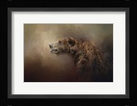 Morning Grizzly Fine Art Print