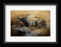 Lion Love 2 Fine Art Print