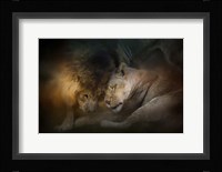 Lion Love Fine Art Print