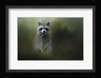 Little Bandit Fine Art Print