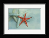 Ocean Treasures Fine Art Print
