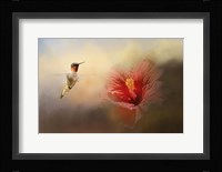 Romancing The Hibiscus Fine Art Print