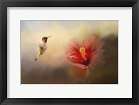 Romancing The Hibiscus Fine Art Print