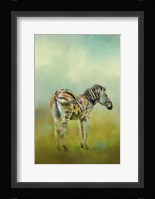 Summer Zebra 1 Fine Art Print