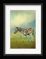 Summer Zebra 2 Framed Print
