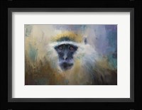 African Grivet Monkey Fine Art Print