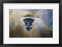 African Grivet Monkey Fine Art Print