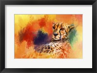 Colorful Expressions Cheetah Framed Print