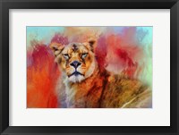 Colorful Expressions Lioness Framed Print