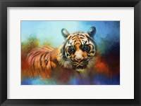 Colorful Expressions Tiger 2 Framed Print