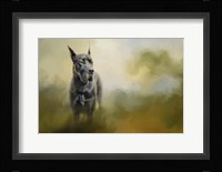 Wistful Dane Fine Art Print