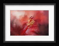 Glorious Bloom Fine Art Print