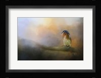 Bluebird In The Perfect Light Fine Art Print