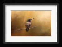 Hummingbird in Autumn Fine Art Print